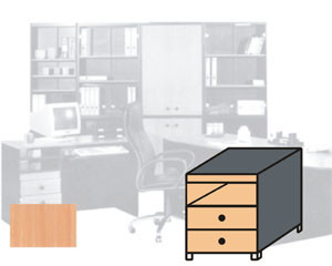 Biroja konteiners C10, 41*45*43cm, diskabrdis